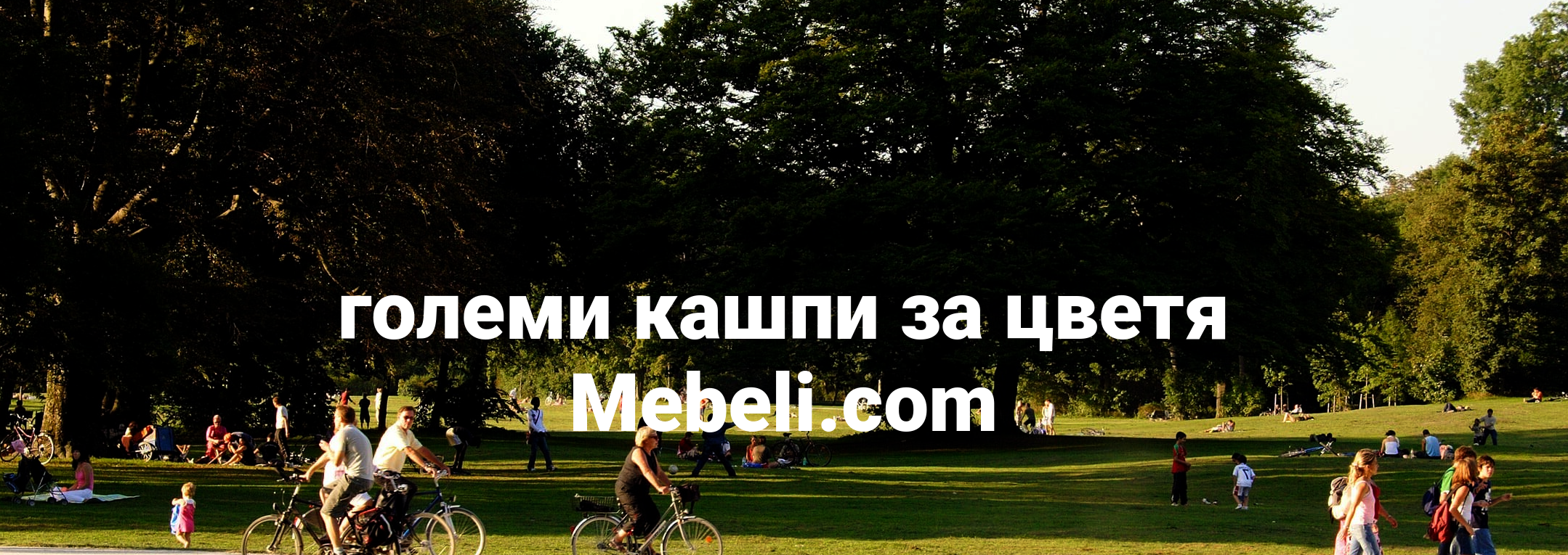 големи кашпи за цветя
