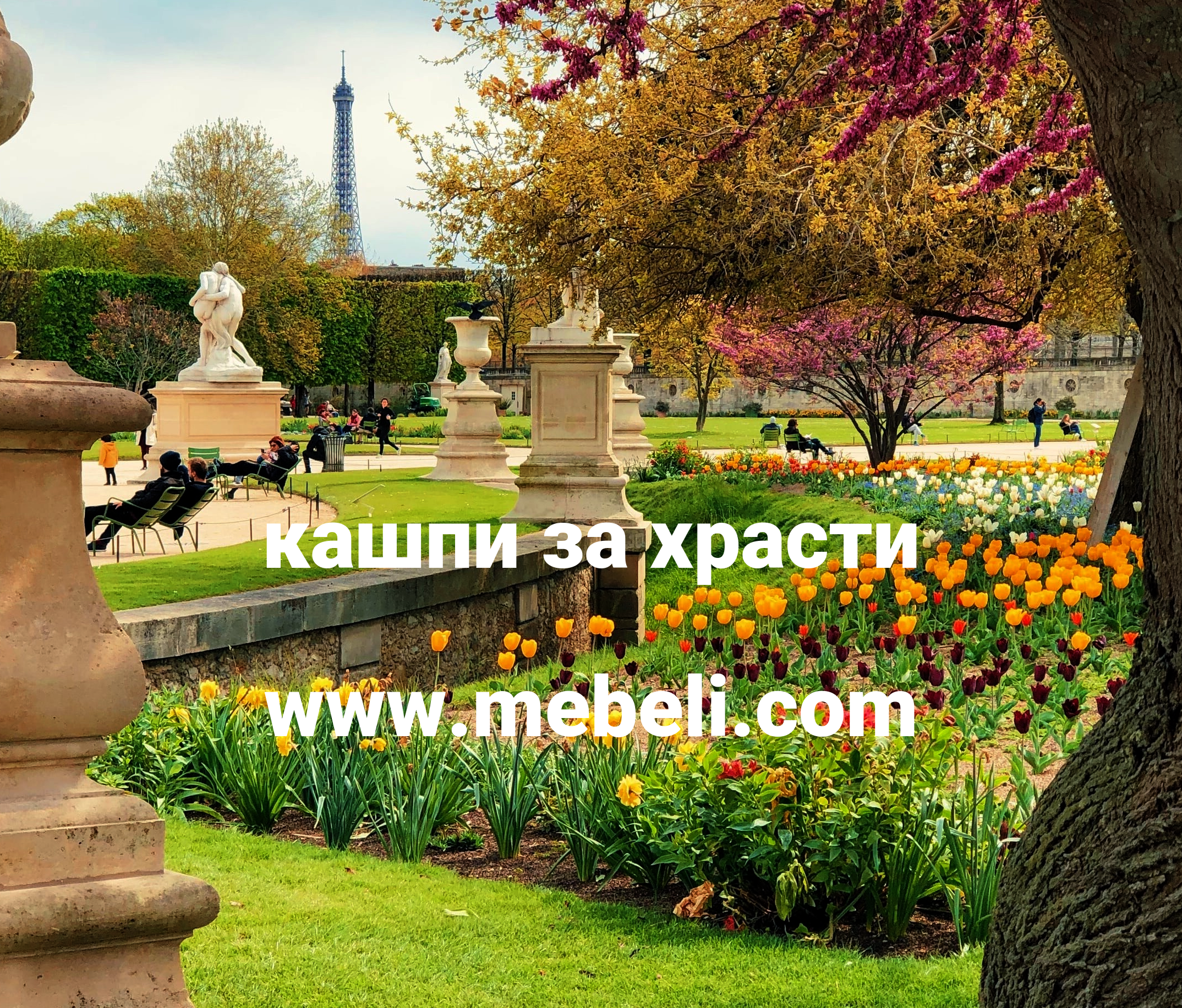кашпи за храсти
